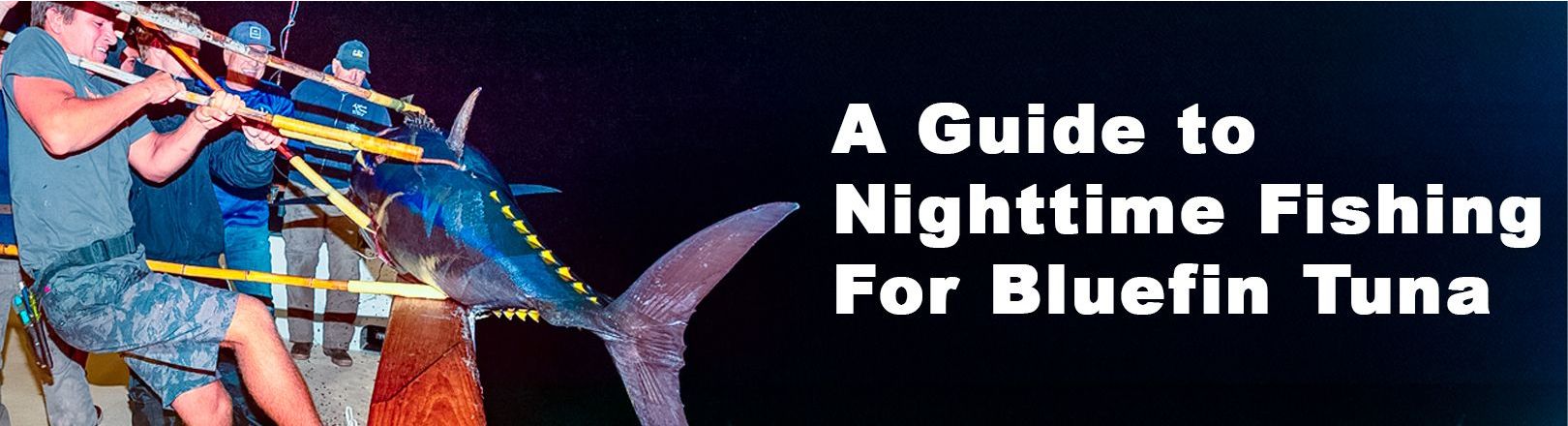 "A GUIDE TO NIGHTTIME FISHING FOR BLUEFIN TUNA" in white text on black background with 4 anglers gaffing a tuna.