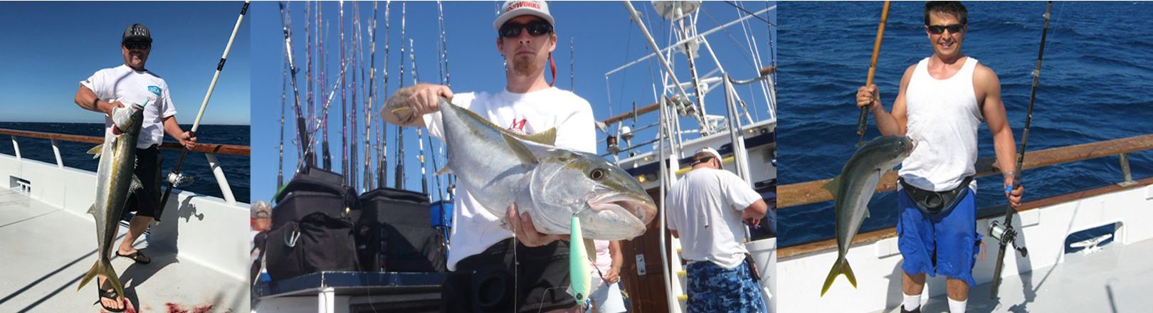 Banner with three images of anglers on a boat each holding a large yellowtail fish with silver bodies and yellow tails, posing on deck with fishing rods and gear against a clear blue ocean backdrop. 