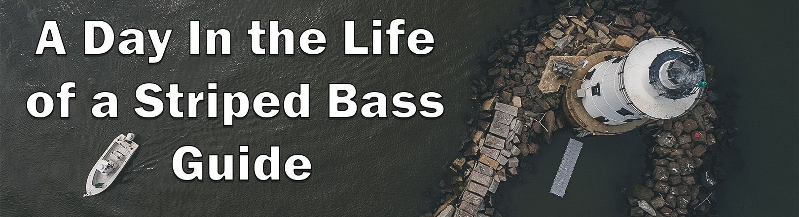 Aerial view of a white lighthouse surrounded by rocks beside a small boat on dark water, with text "A Day In the Life of a Striped Bass Guide" in white text.