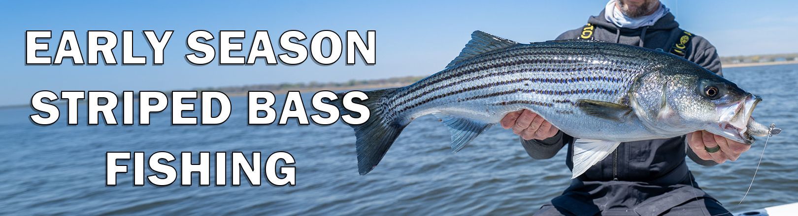 Early season striped bass fishing banner with a person holding a striped bass fish over the water and large white text reading "EARLY SEASON STRIPED BASS FISHING."