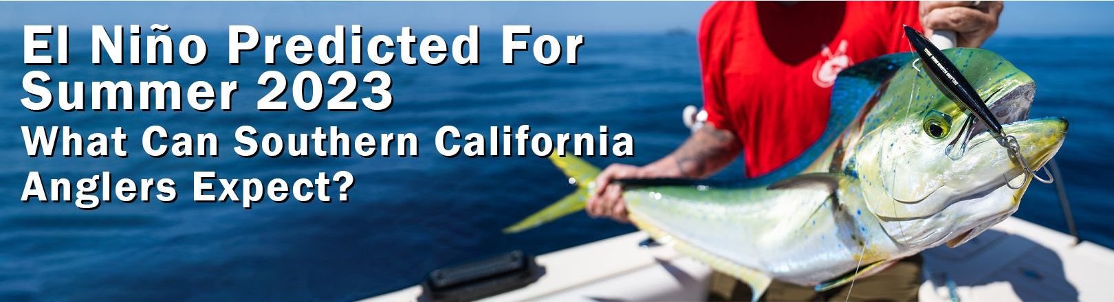 Author Michel Murciano wearing a red shirt with with a green, white and blue Dorado on stick-bait. Blue ocean in the background