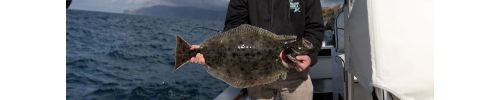 Jason Hower holding a large halibut on a fishing boat; background shows open ocean with distant coastline under cloudy skies.
