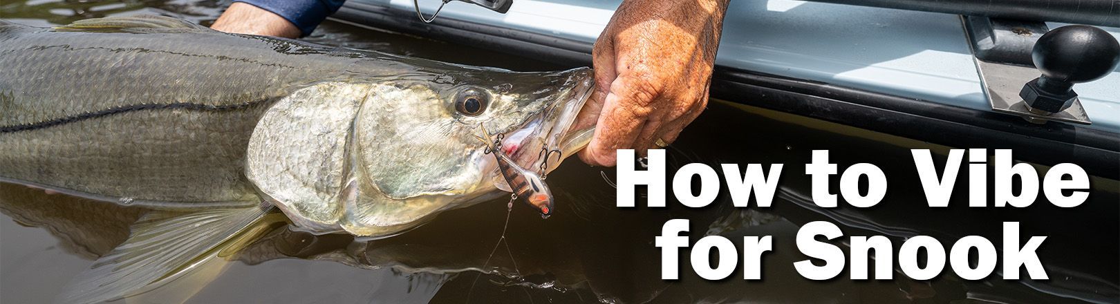 How to Vibe for Snook: The Gear, Technique, and Tackle I Trust banner featuring an angler holding a snook at the side of a boat.