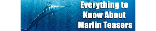 Blue marlin swimming underwater with a school of baitfish in the background, accompanied by bold white text reading “Everything to Know About Marlin Teasers.”
