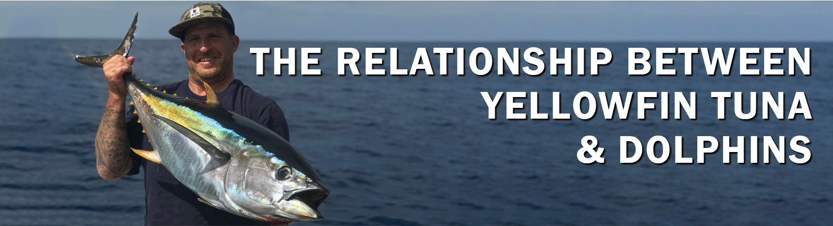 Fisherman and author Michel wearing a dark shirt and camo hat holds a large yellowfin tuna with iridescent blue and yellow coloring. Open ocean in background. Large bold text reads “THE RELATIONSHIP BETWEEN YELLOWFIN TUNA & DOLPHINS.”