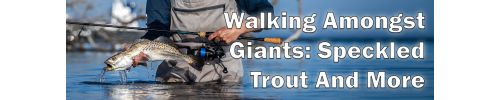 Walking Amongst Giants: Speckled Trout and More