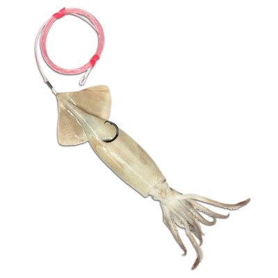 Baitmasters Circle Hook Medium Squid