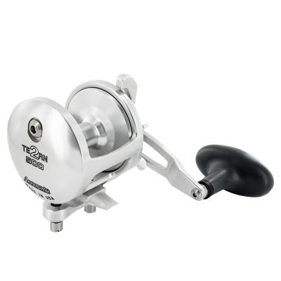 Accurate Tern 2 Star Drag Conventional Reel