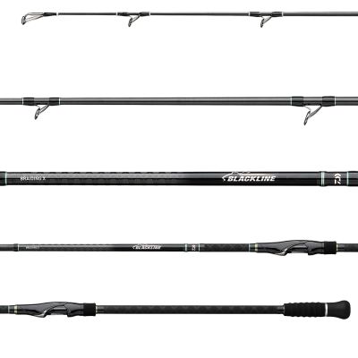 Daiwa Backline Surf Spinning Rod