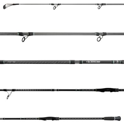 Daiwa Blackline Surf Spinning BL1002HFS Rod