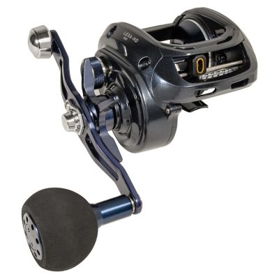Daiwa Lexa Type-HD Baitcasting Reel - LX-HD500P-P