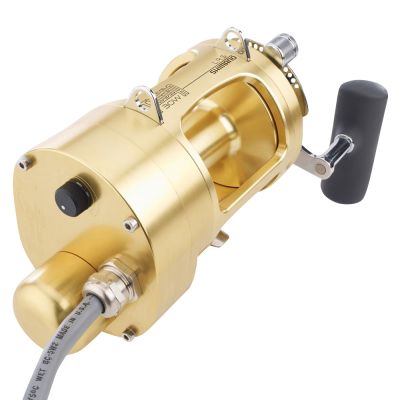 Hooker Electric w/Shimano Tiagra 30WLRSA Combo