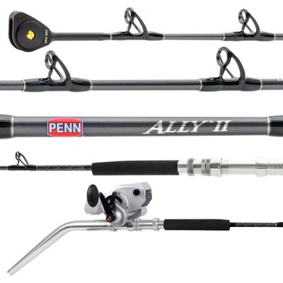 Penn Ally BWII80250C60DD Rod & Fathom Electric 80 FTH80ELKIT Reel Deep Drop Combo