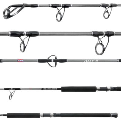 Penn Ally II Spinning ALLYBWII50100S60 Boat Rod