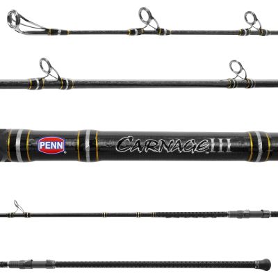 Penn Carnage III Surf Conventional CARSFIII1530C10 Rod