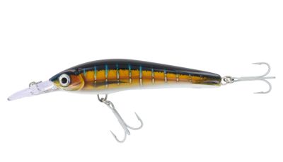 Rapala X-Rap Magnum Xtreme Lure - HD Sailfish UV