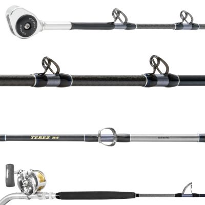 Shimano Terez BW & Talica A High-Speed Trolling Combo with silver/gold reel attached. Black blank with silver and gray wrappings, dark gray guides facing up and silver-colored roller tip. 