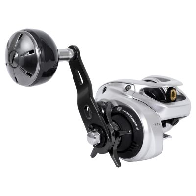 Shimano Tranx 300HG B Baitcasting Reel, shown from 3/4 handle side view. Features large round power handle, silver-colored body, visible &ldquo;MICROMODULE&rdquo; and &ldquo;7.6&rdquo; text, star drag control, and open spool port.