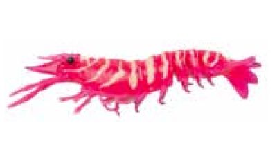 Nomad Design Sumo Shrimp 5" Lure - Hyper Pink
