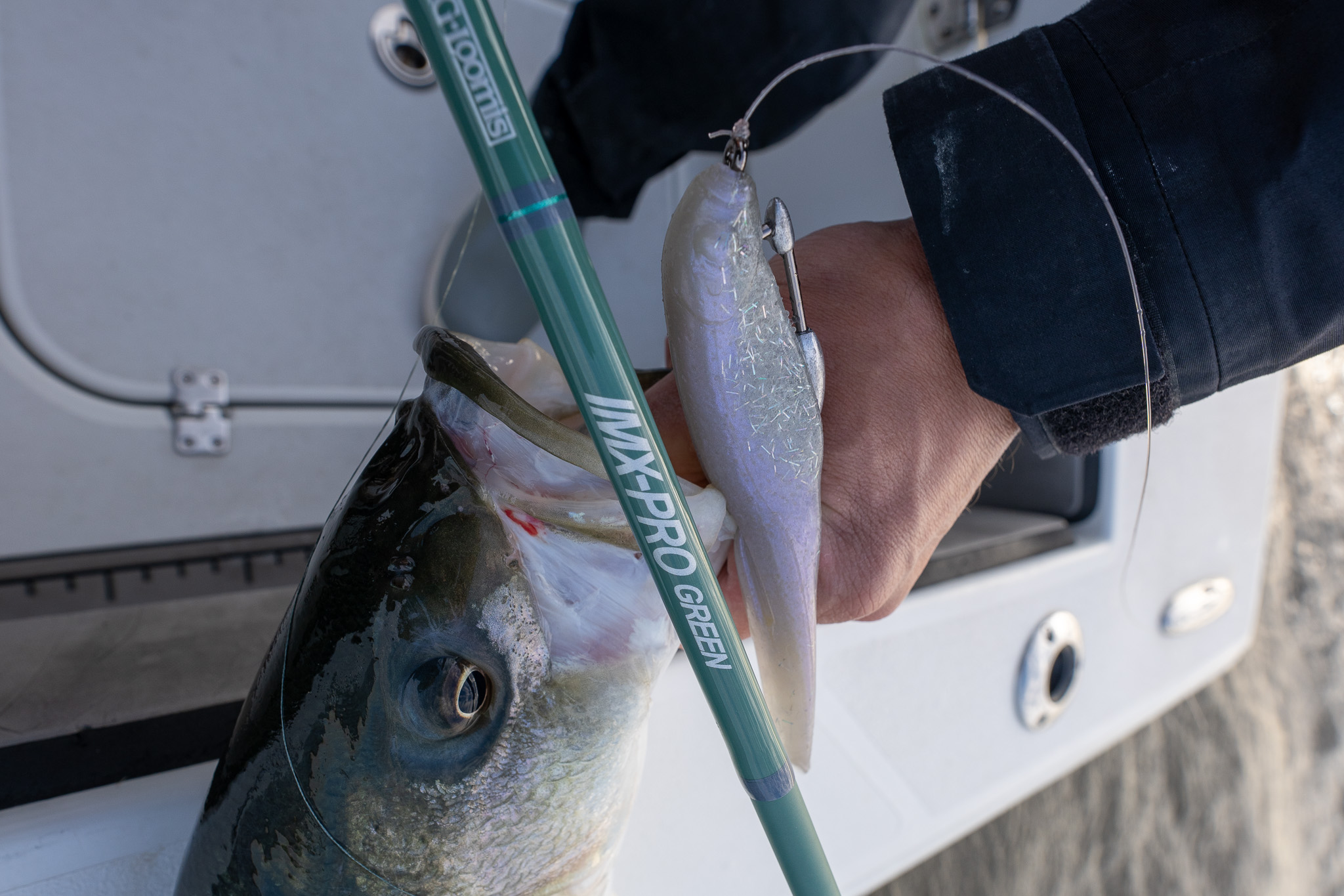 Close-up of a fish held beside a white soft plastic lure rigged on a hook, with visible text "MXPRO GREEN" on a green fishing rod against a boat deck background.