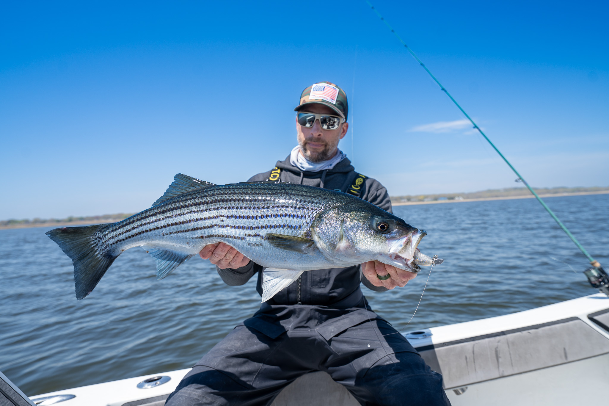 Person holding a striped bass with a white soft plastic lure in its mouth while sitting on a fishing boat, with calm water and a blue sky in the background.