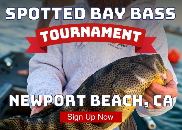 SPOTTED BAY BASS TOURNAMENT. Newport Beach, CA. Sign Up Now. In the background, a person on a boat holds a large spotted bay bass over the water.