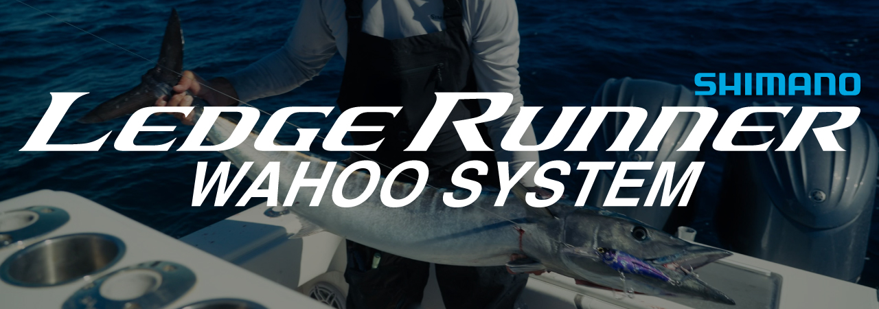 Shimano Ledge Runner Wahoo System. Background shows man on a boat holding caught wahoo with Ledge Runner Lure in it's mouth.