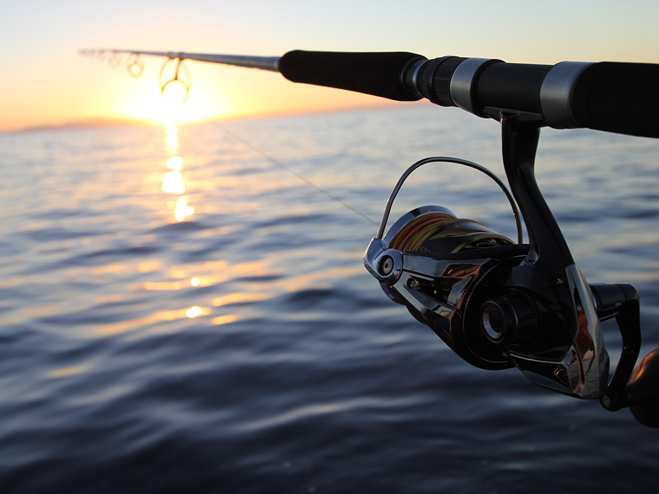 A Shimano Stella SW C Spinning Reel attached to a Shimano Spinning Rod. The background is blurry and shows the sun rising out of the water.