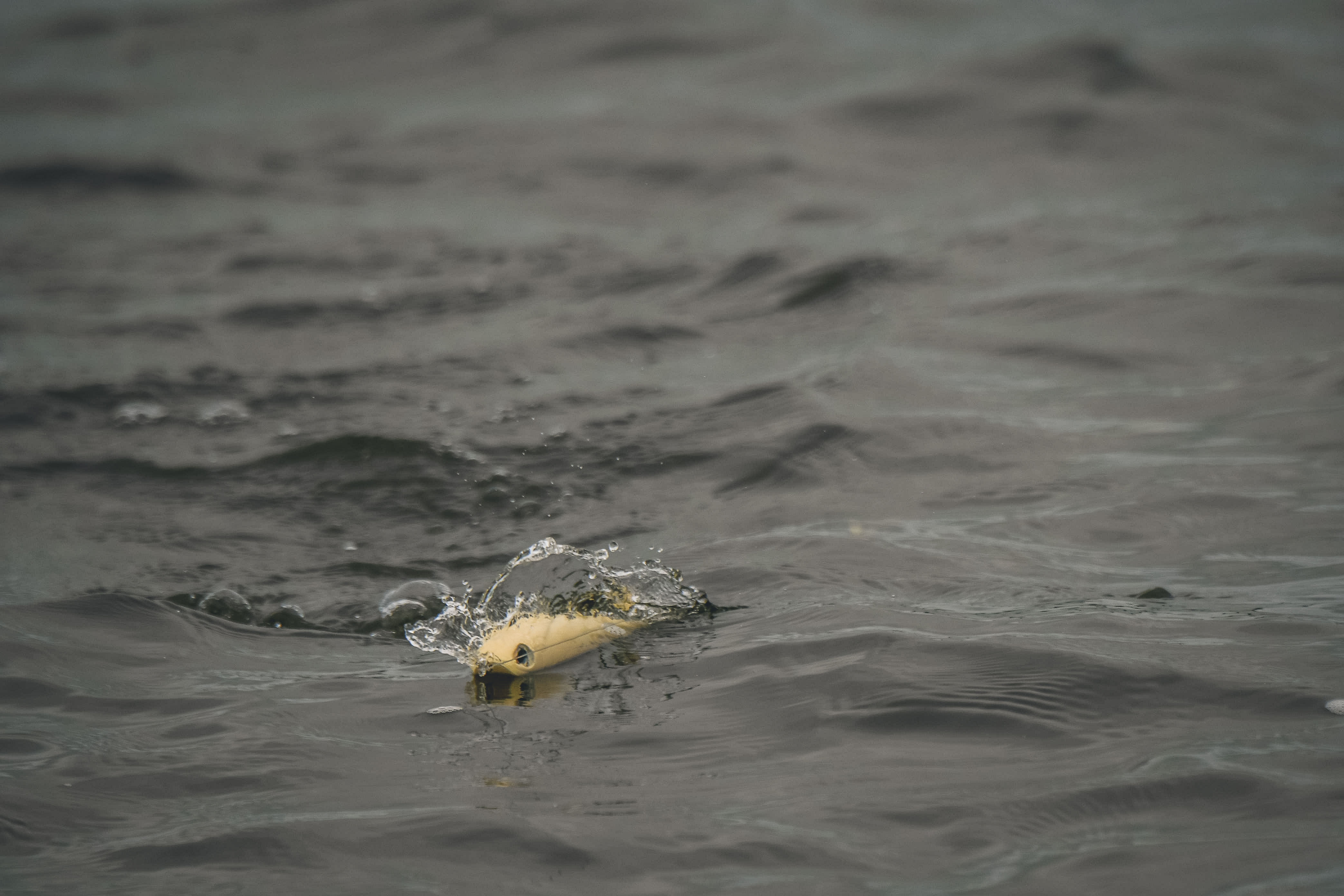 A lure is being pulled through the water.
