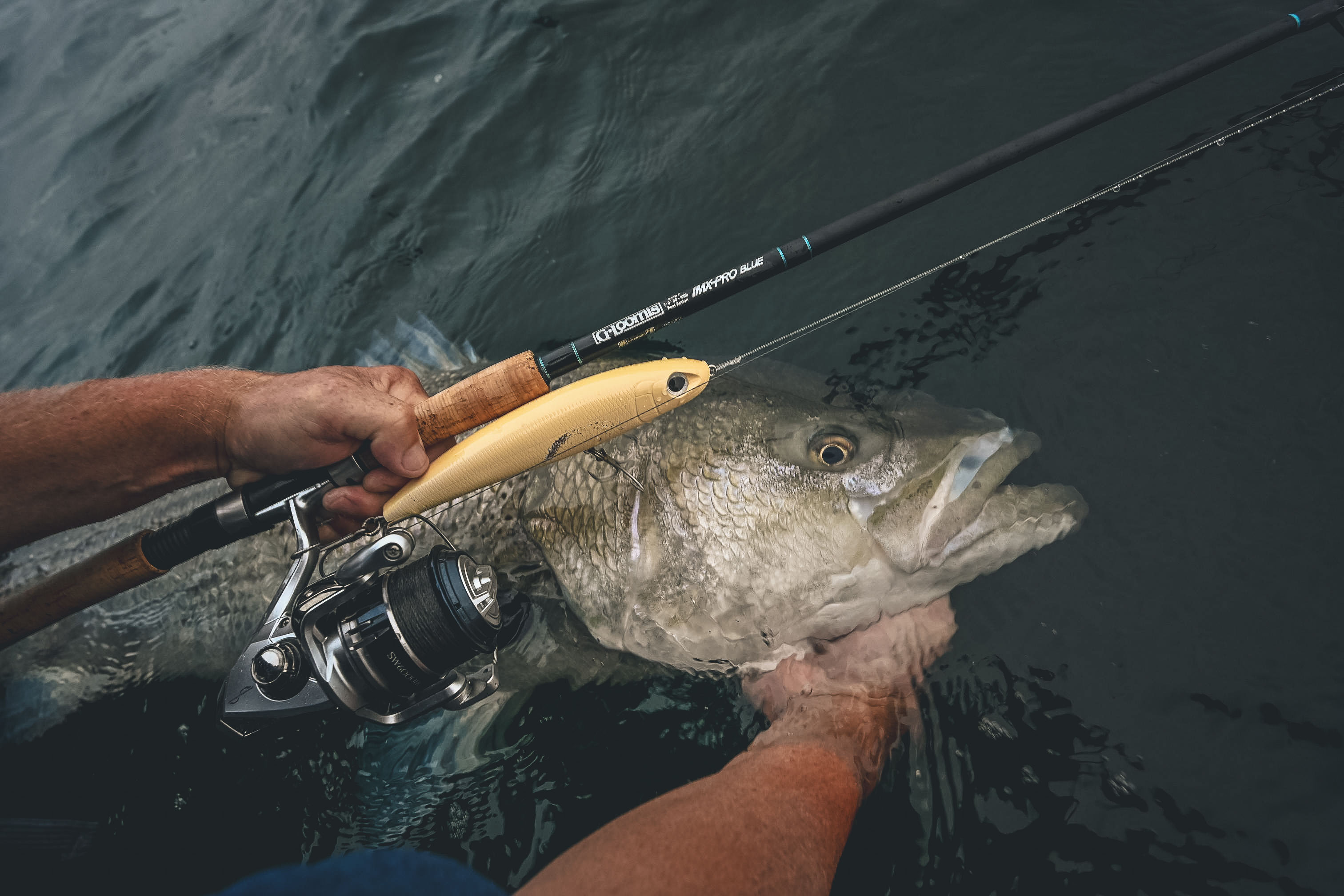 A person is holding a fish next to a fishing pole.
