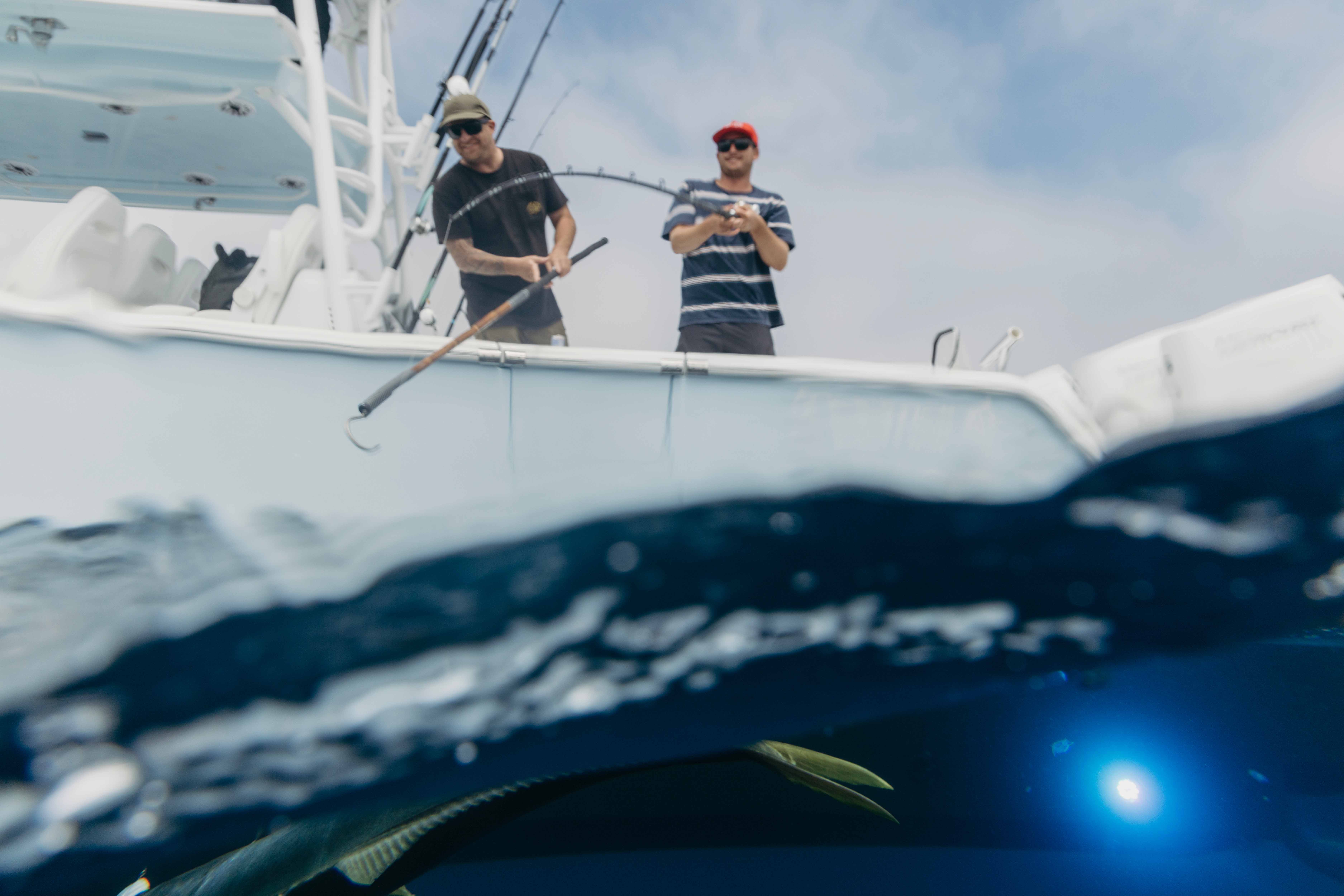 Two men fishing from a boat on a sunny day, both wearing sunglasses; one is holding a fishing rod and the other is using a gaff hook, with part of a fish visible underwater.