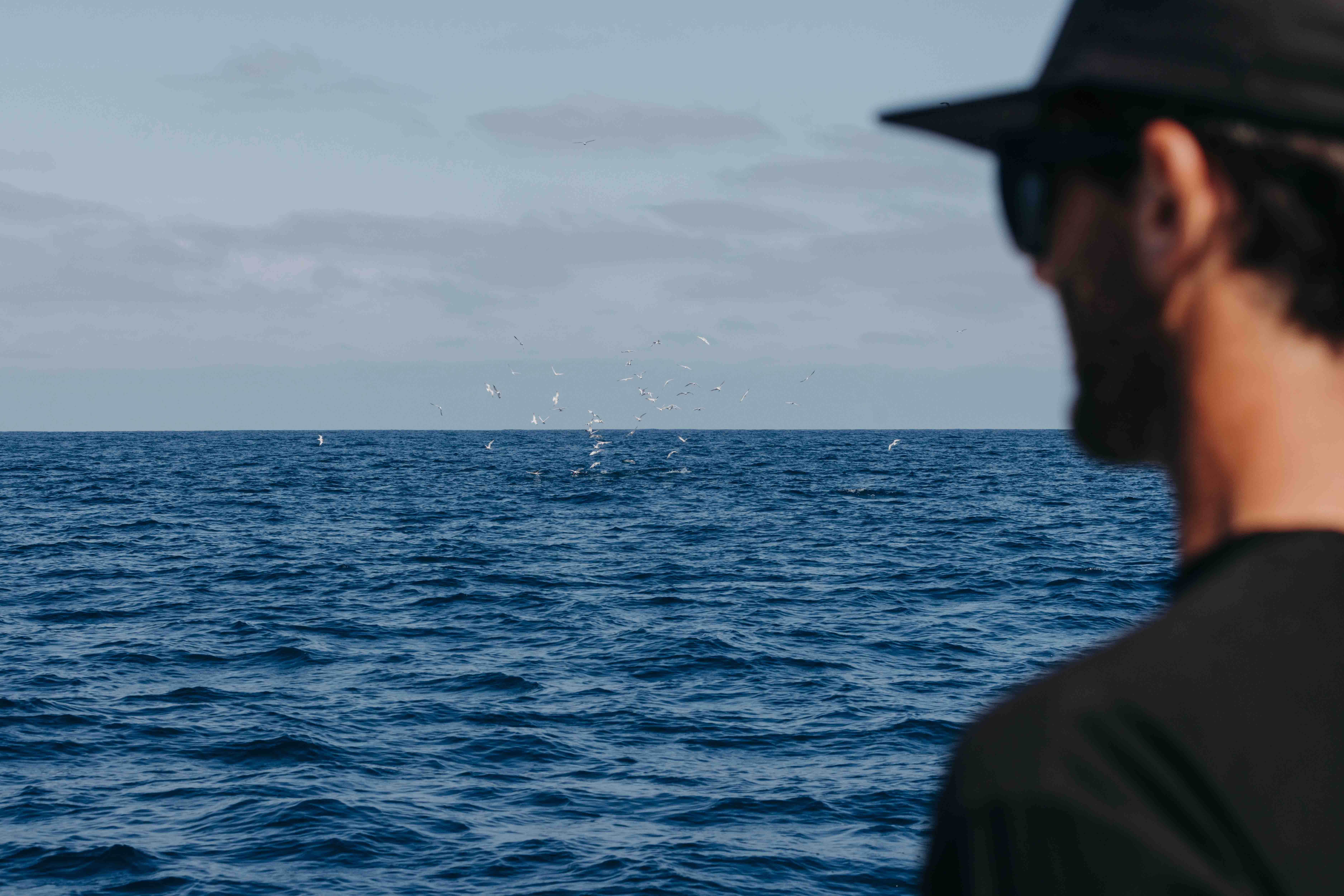 Person wearing sunglasses and a cap, looking out over the ocean toward a flock of birds hovering above the water under a partly cloudy sky.