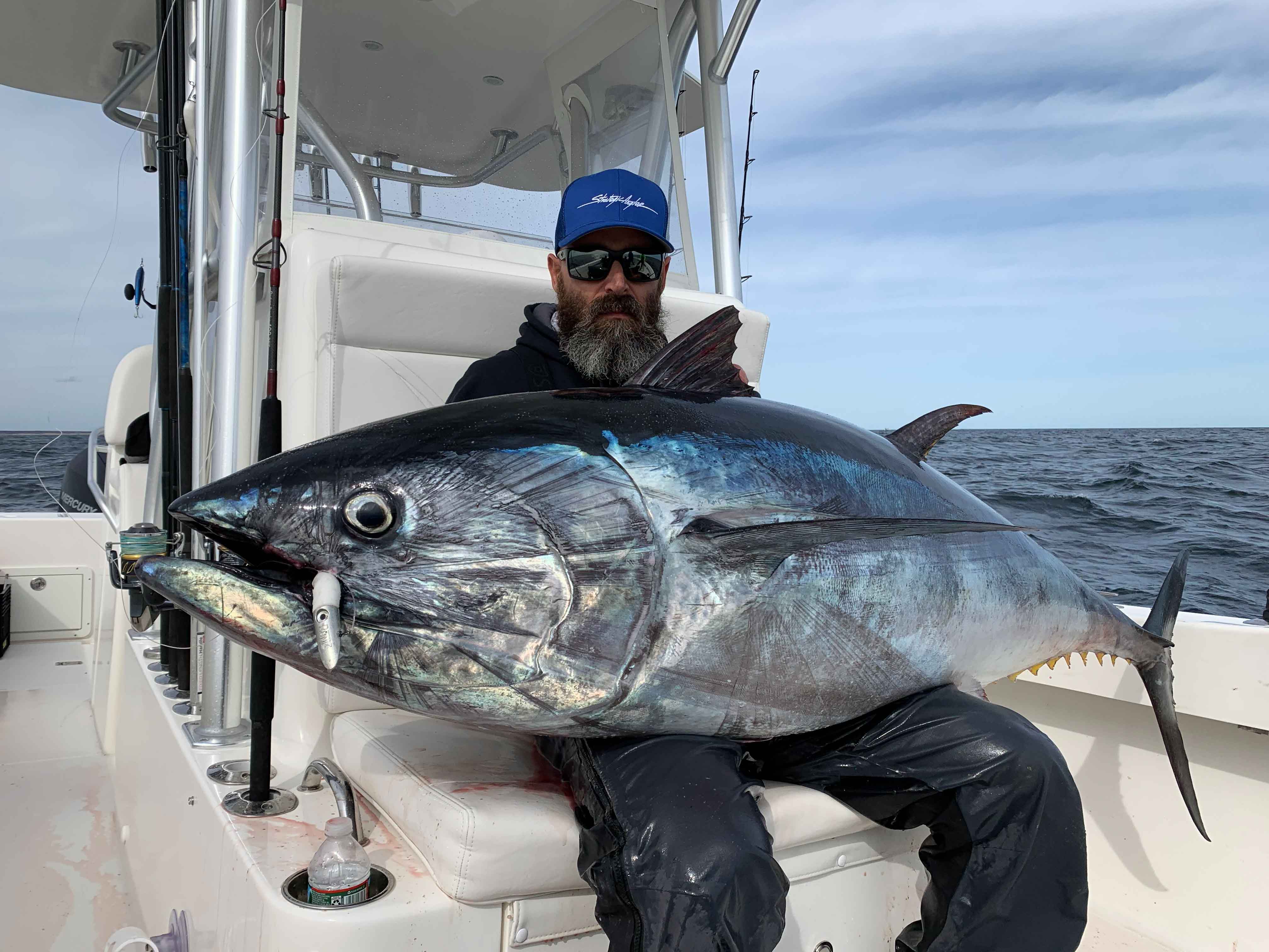 A bearded person wearing sunglasses and a blue cap sits on a fishing boat holding a large bluefin tuna with a baitfish and lure visible at its mouth, with ocean and cloudy sky behind.