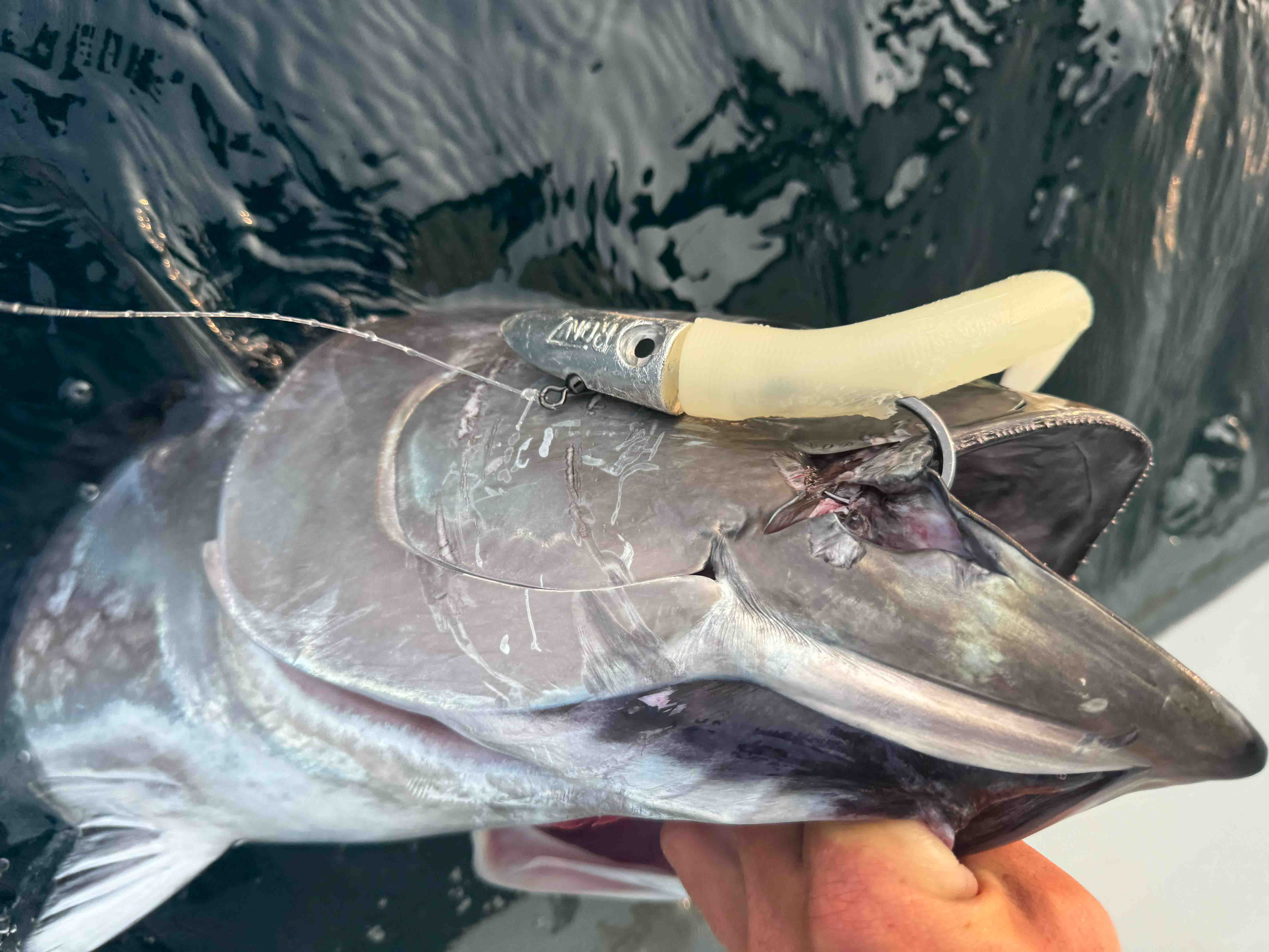 A close-up shows a large tuna being held at the water's surface with a pale soft-plastic lure, hook, fishing line, and metallic jig head attached near its mouth.