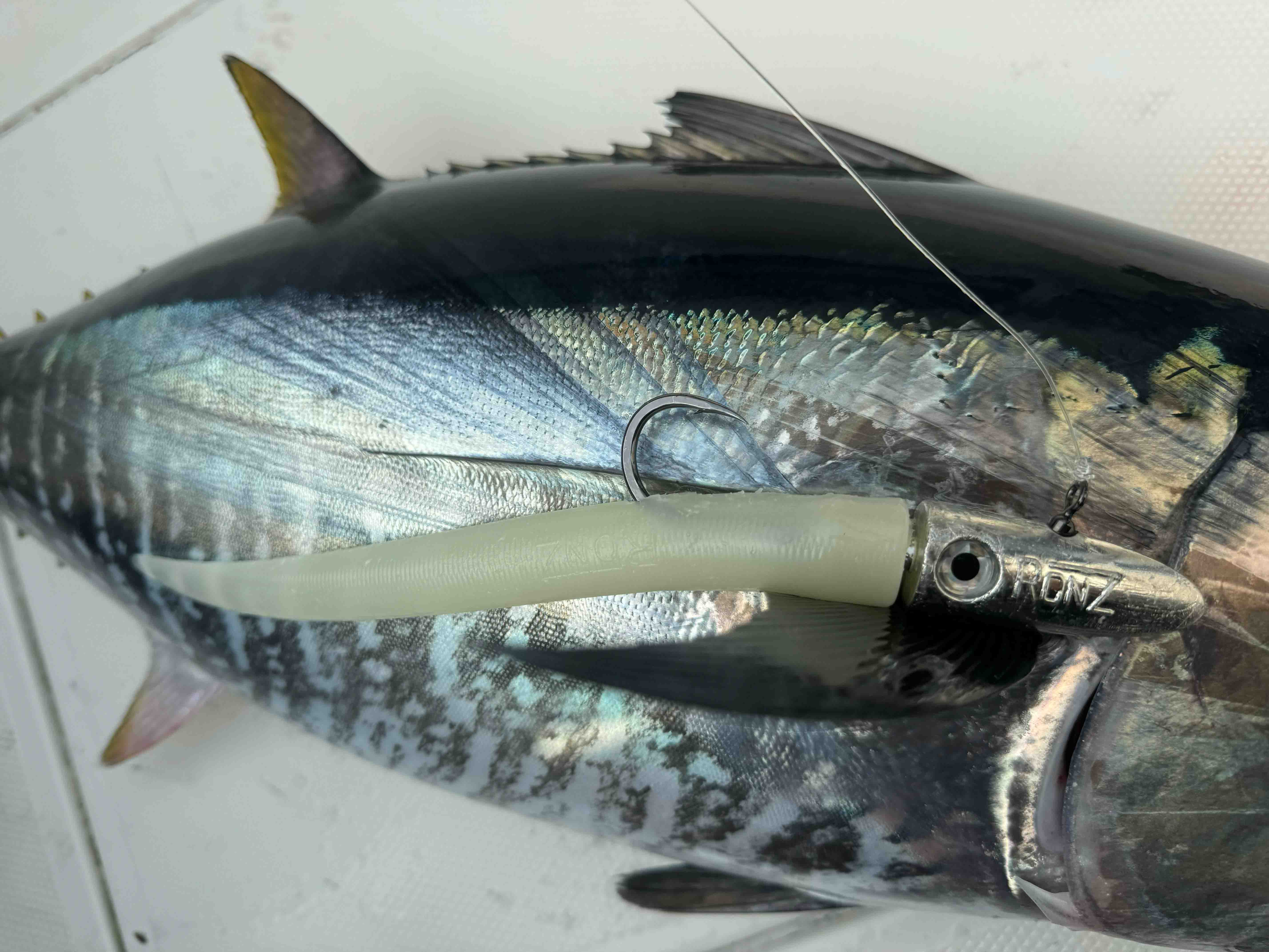 A close-up shows a large tuna with a pale soft-plastic lure rigged on a hook against its side, attached to a metallic jig head with visible text "HDNZ".