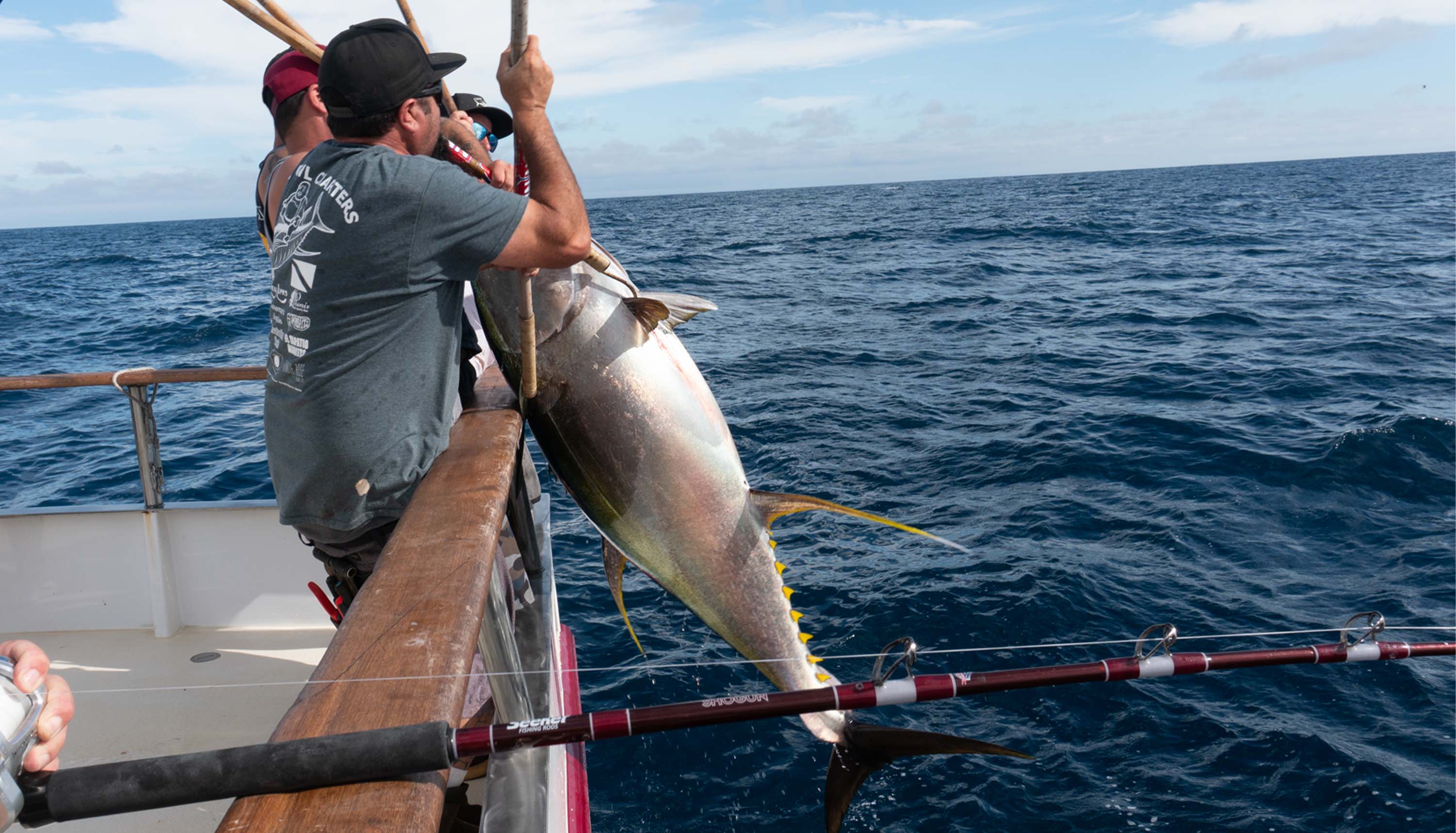 Angler's pulling in XXL Yellowfin Tuna