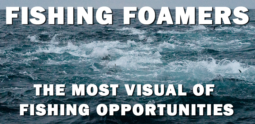 Fishing Foamers: The Most Visual of Fishing Opportunities Banner