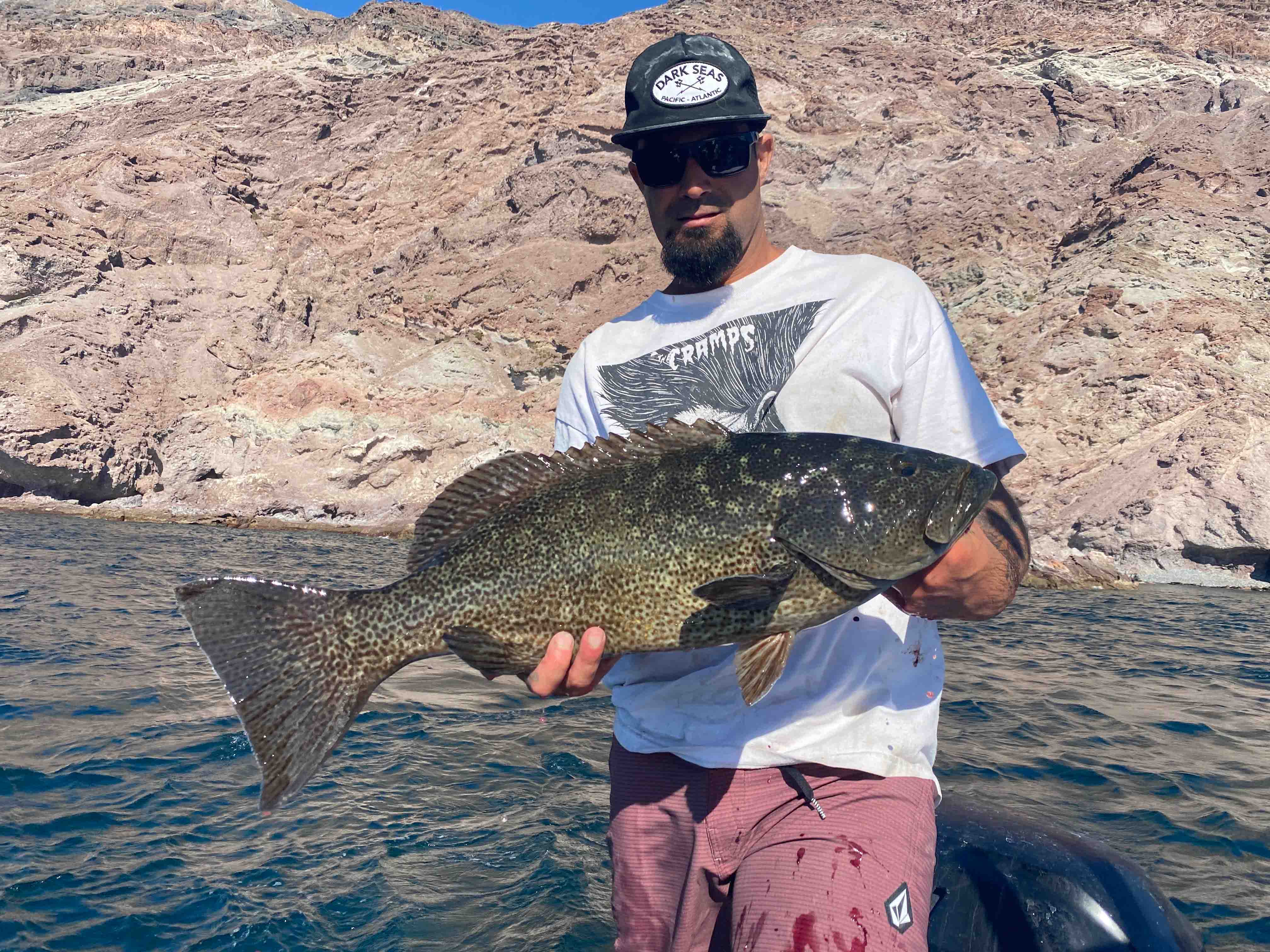 Man in sunglasses and a white T-shirt holds a mottled grouper with dark spots. Background shows rocky cliffs rising from the ocean under a clear blue sky.