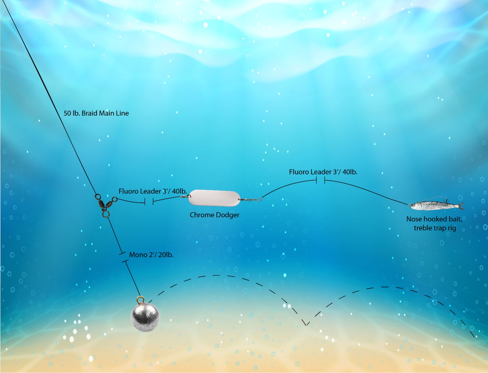 Underwater diagram showing a fishing rig labeled "50 lb. Braid Main Line", "Mono 2'/20lb.", "Fluoro Leader 3'/40lb.", "Chrome Dodger", another "Fluoro Leader 3'/40lb.", and "Nose hooked bait, treble trap rig" with blue water background. More in caption.