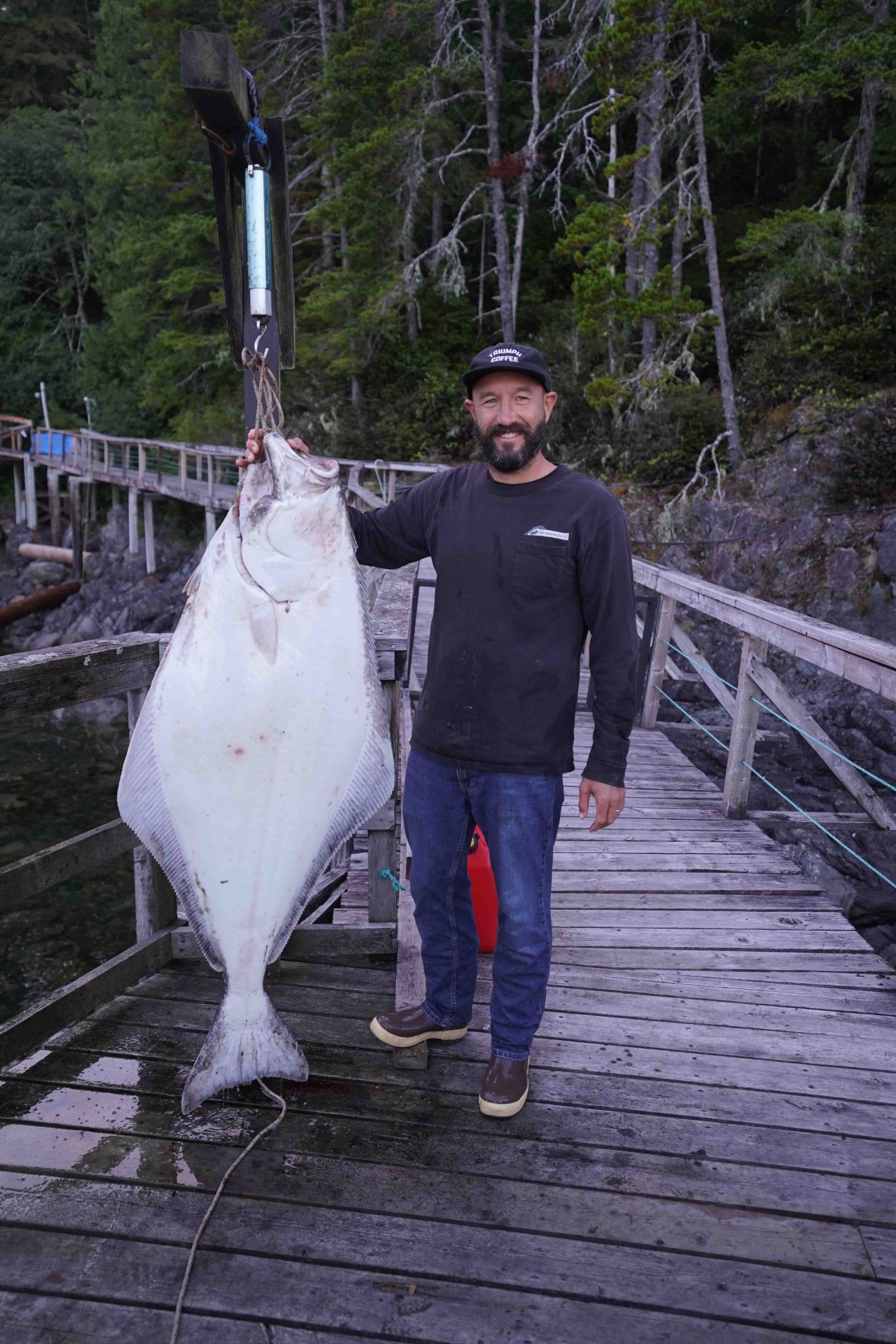 A man stands on a wooden dock smiling while holding up a very large halibut hanging from a scale. In the background, there's a forested shoreline and calm water.