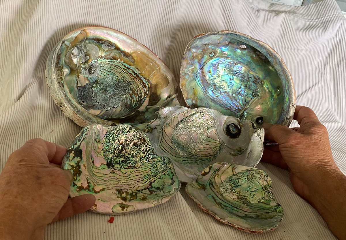 Gary Eoff's Abalone Shell Hands holding several abalone shells with shimmering iridescent interiors in blue, green, and pink hues, arranged on a light fabric surface.