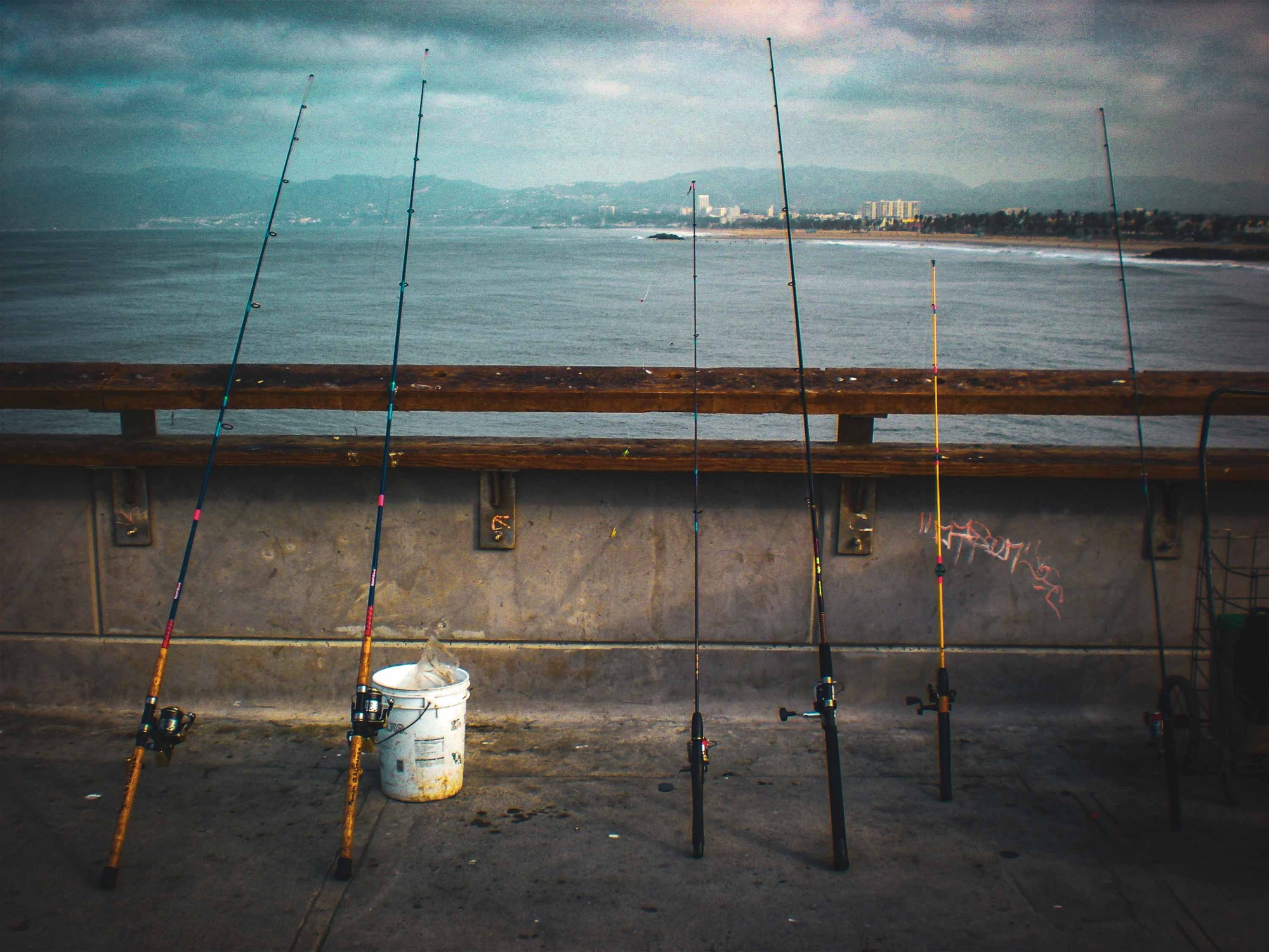 Five fishing rods propped against a wooden railing on a concrete pier, with a white bucket nearby. Coastal cityscape and overcast sky visible in the background.