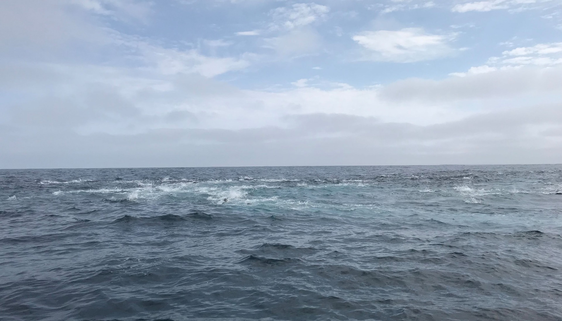Choppy ocean surface under a cloudy sky with a visible foamer&mdash;whitewater disturbance caused by a school of feeding fish breaking the surface.