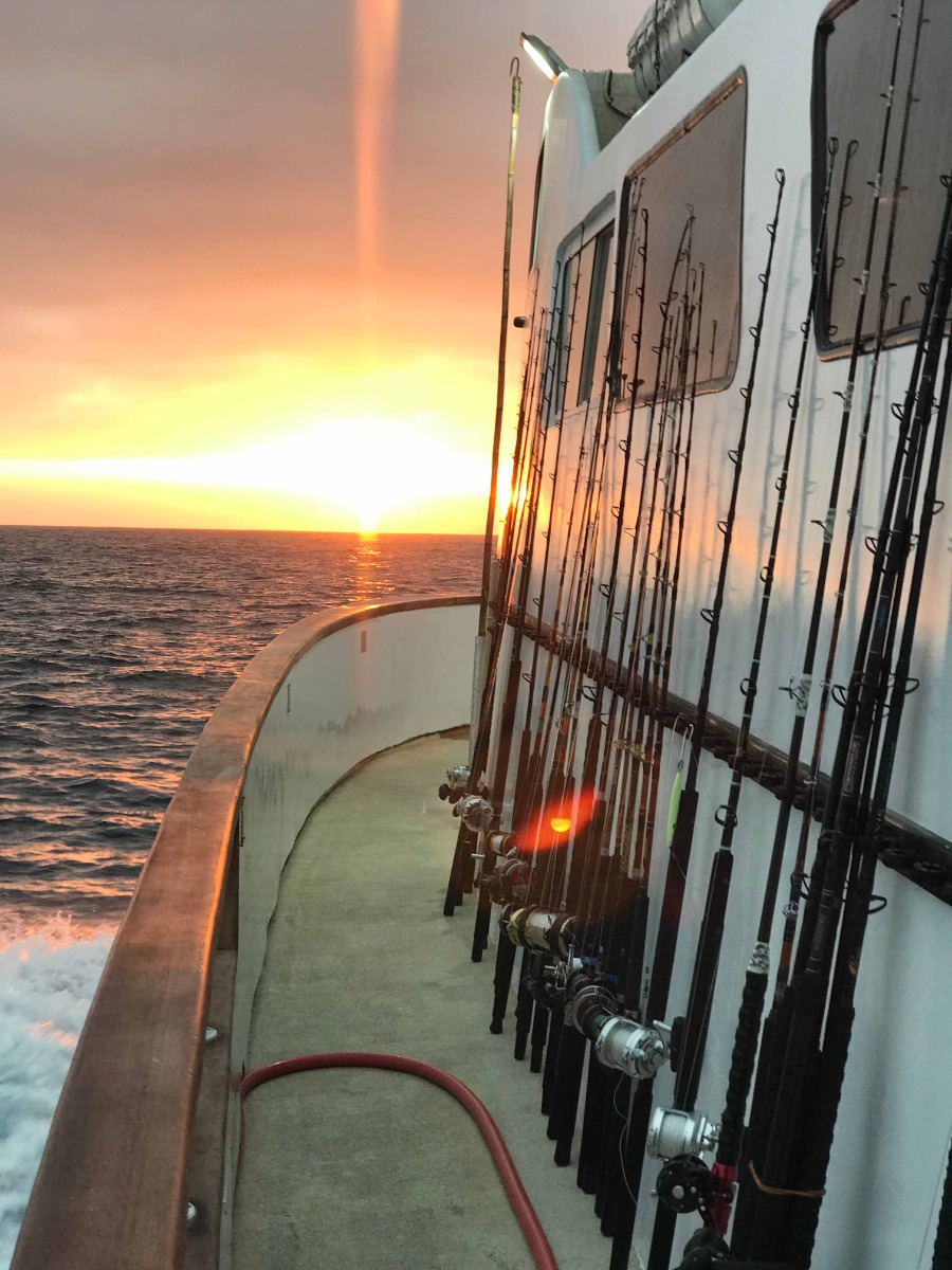 Multiple rod and reel setups lined vertically along a sportboat&rsquo;s side rail, with the boat heading into an ocean sunset. A red deck hose lies on the floor beside the rods.