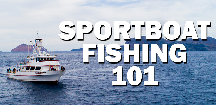 Sport Boat Fishing 101 Banner