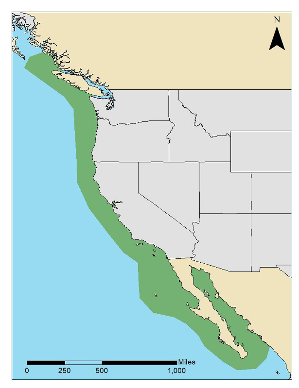 Yellowtail Location Map