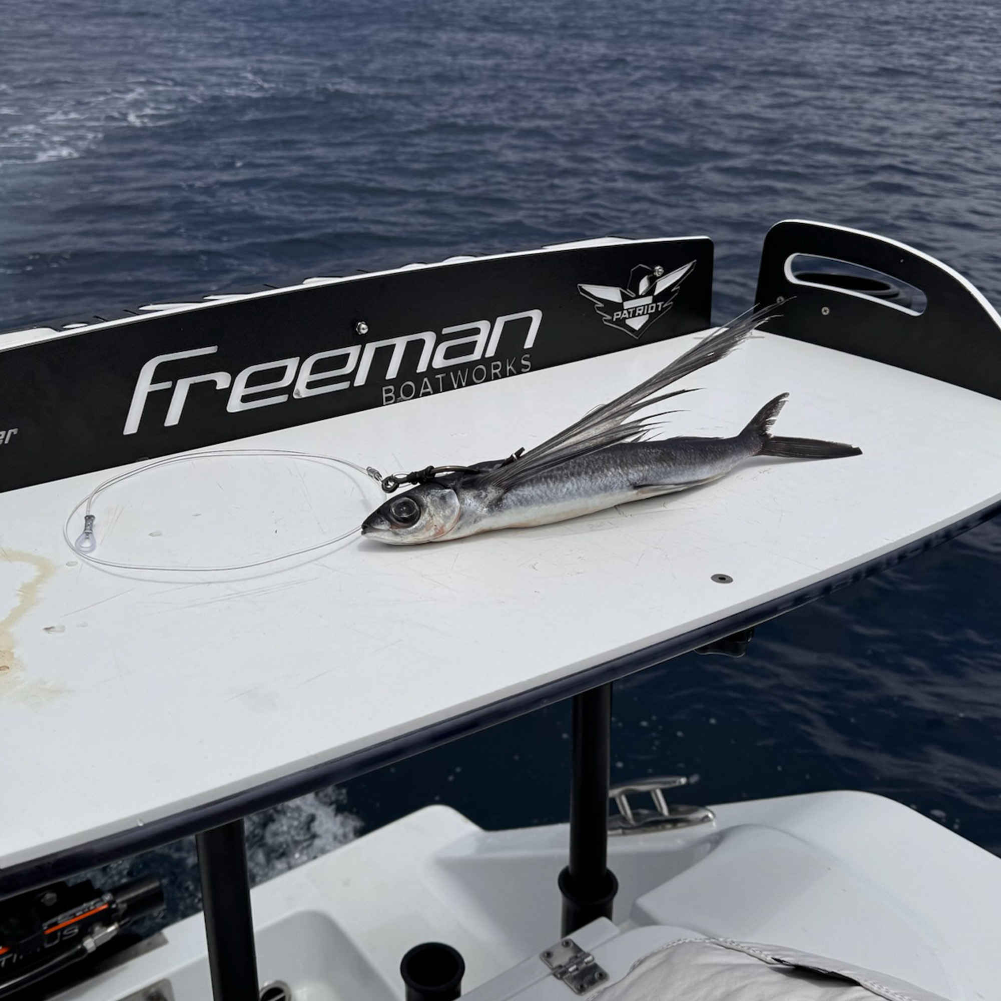 Flying fish rigged as bait on a clear leader, resting on a white surface with &ldquo;Freeman Boatworks&rdquo; and &ldquo;Patriot&rdquo; logos on a black panel. Ocean water visible in the background.