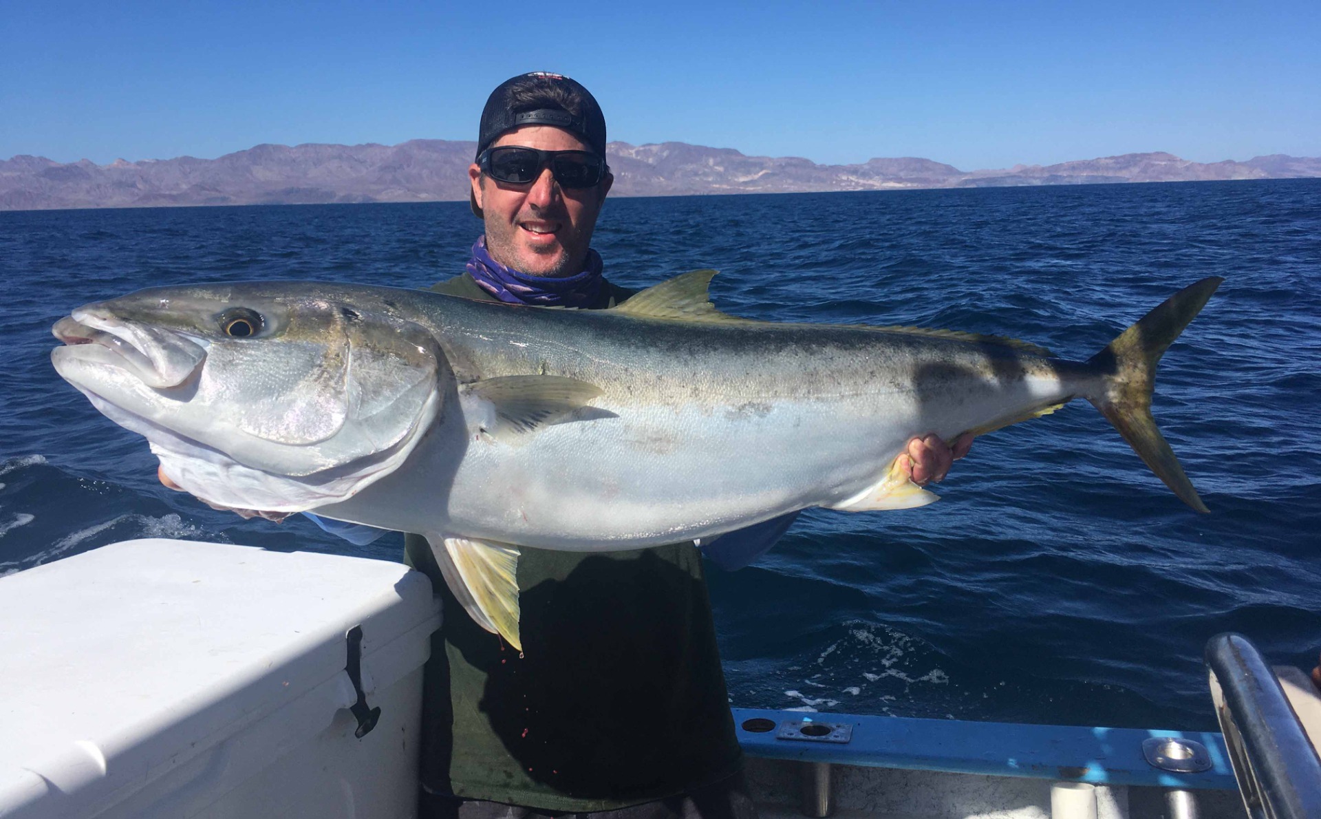 Man in sunglasses and cap stands on a boat holding a large yellowtail fish horizontally with both hands. Ocean water surrounds the boat, with a distant mountainous shoreline in the background.