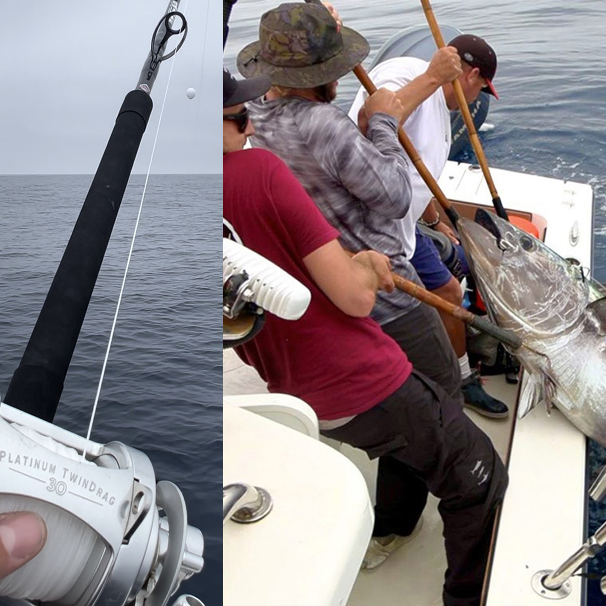 Left: close-up of a silver color Platinum TwinDrag 30 reel mounted on a rod over open water. Right: three anglers use gaffs to haul a large tuna onto the deck of a boat during a catch.