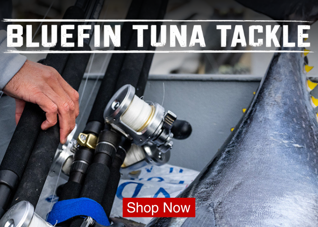 Fishing rods and reel beside a bluefin tuna with text Bluefin Tuna Tackle and a Shop Now button